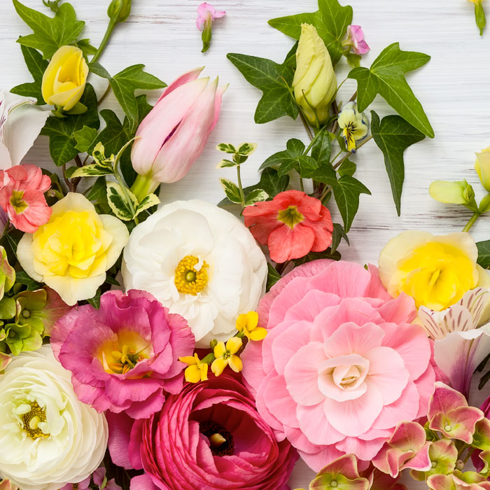 Various colorful flowers, including roses, tulips, and ranunculus, are arranged together with green leaves on a white wooden background, creating a vibrant and fresh spring composition.