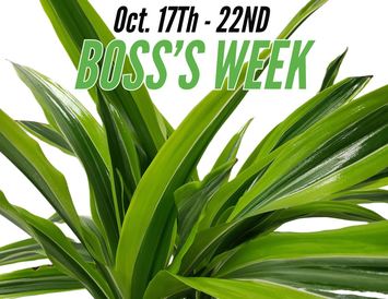 Boss's Week