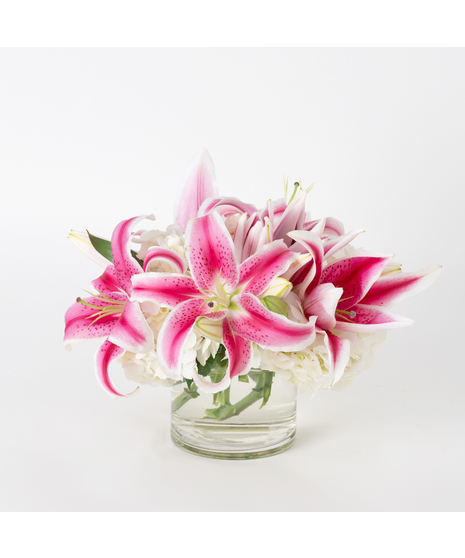 Delight your love with our stunning Lily Rose arrangement, a timeless expression of love and elegance. 