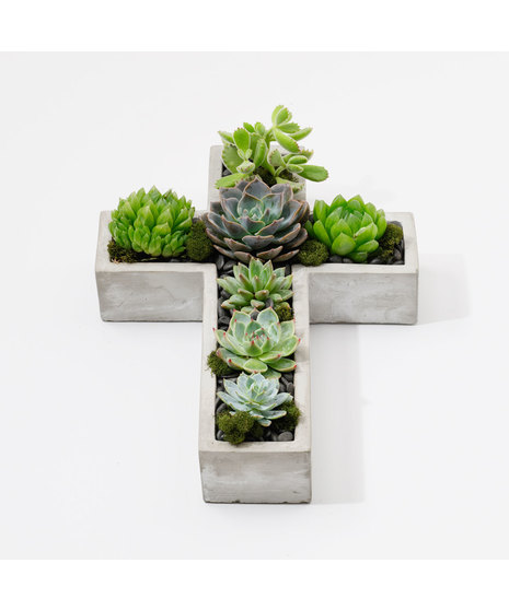 Large Mod Cross Succulent Garden