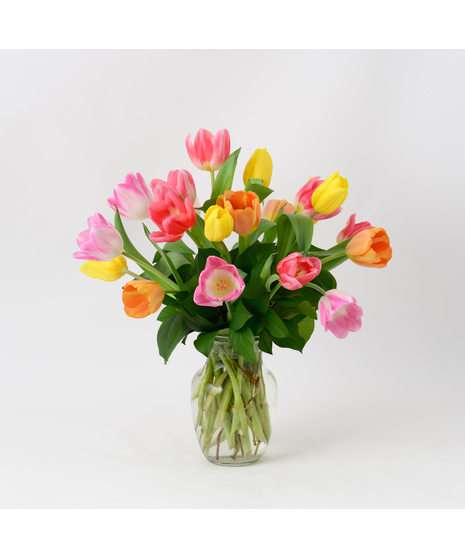 20 colorful mixed tulips arranged in a clear ginger jar vase with a bow